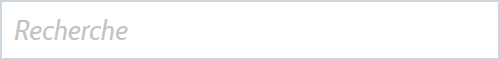 rechercher2.png