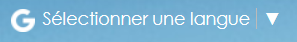 tsq-academie-translate.png